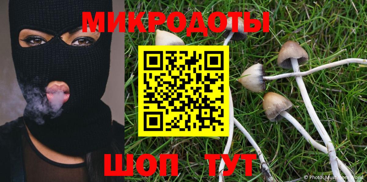 Псилоцибиновые грибы GOLDEN TEACHER  Вход с VPN  Лиски 